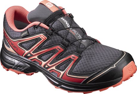 Salomon Wings Flyte 2 GTX W 392491