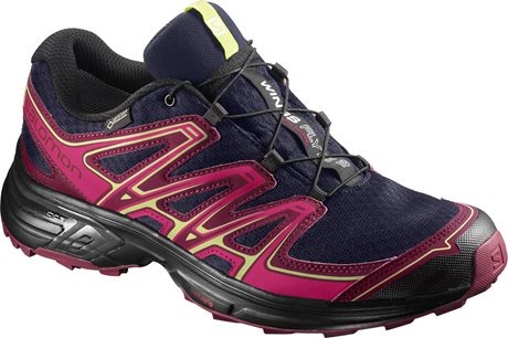 Salomon Wings Flyte 2 GTX W 399714