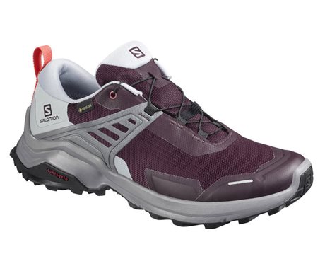 Salomon X Raise GTX W 410419