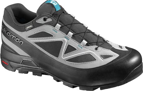 Salomon X Alp GTX 371669