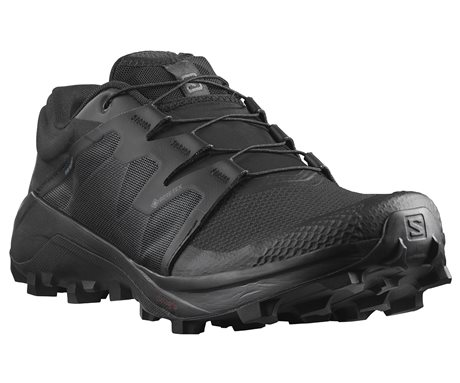 Salomon Wildcross GTX 410530