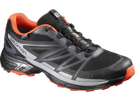 Salomon Wings Pro 2 GTX 390300
